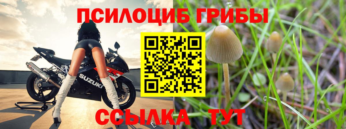 Малгобек  Псилоцибиновые грибы мицелий  хочу   Галлюциногенные грибы мицелий  Вход с VPN 